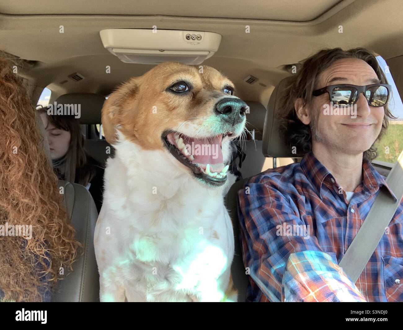 Felice sorridente cane a cavallo in fromt sedile di auto con la famiglia. Foto Stock