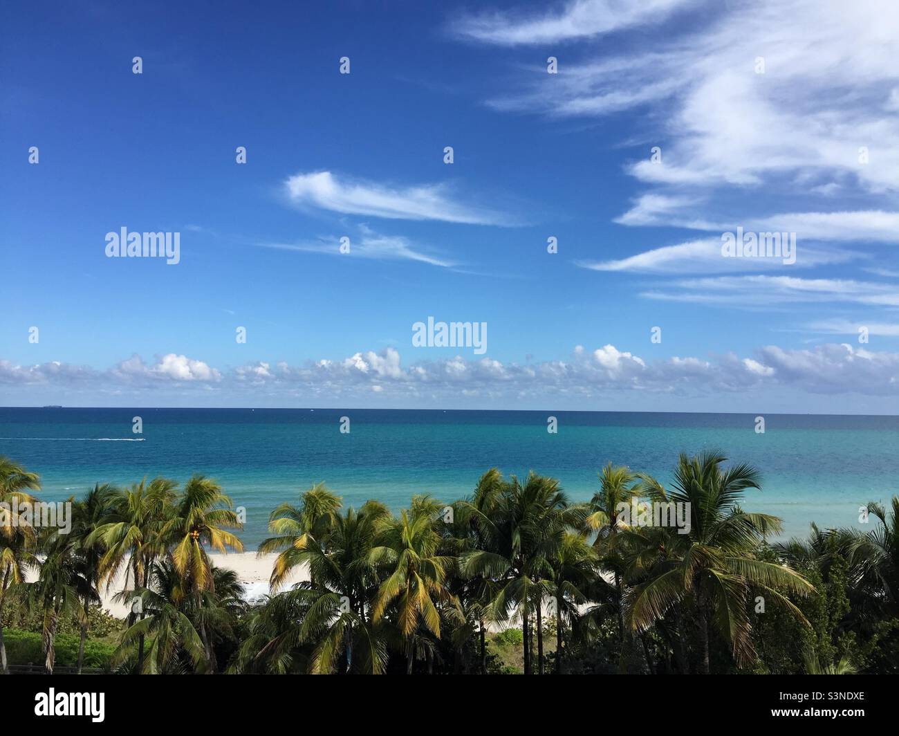 Splendida vista sulla spiaggia, sull'oceano, sulle palme e sul cielo Foto Stock