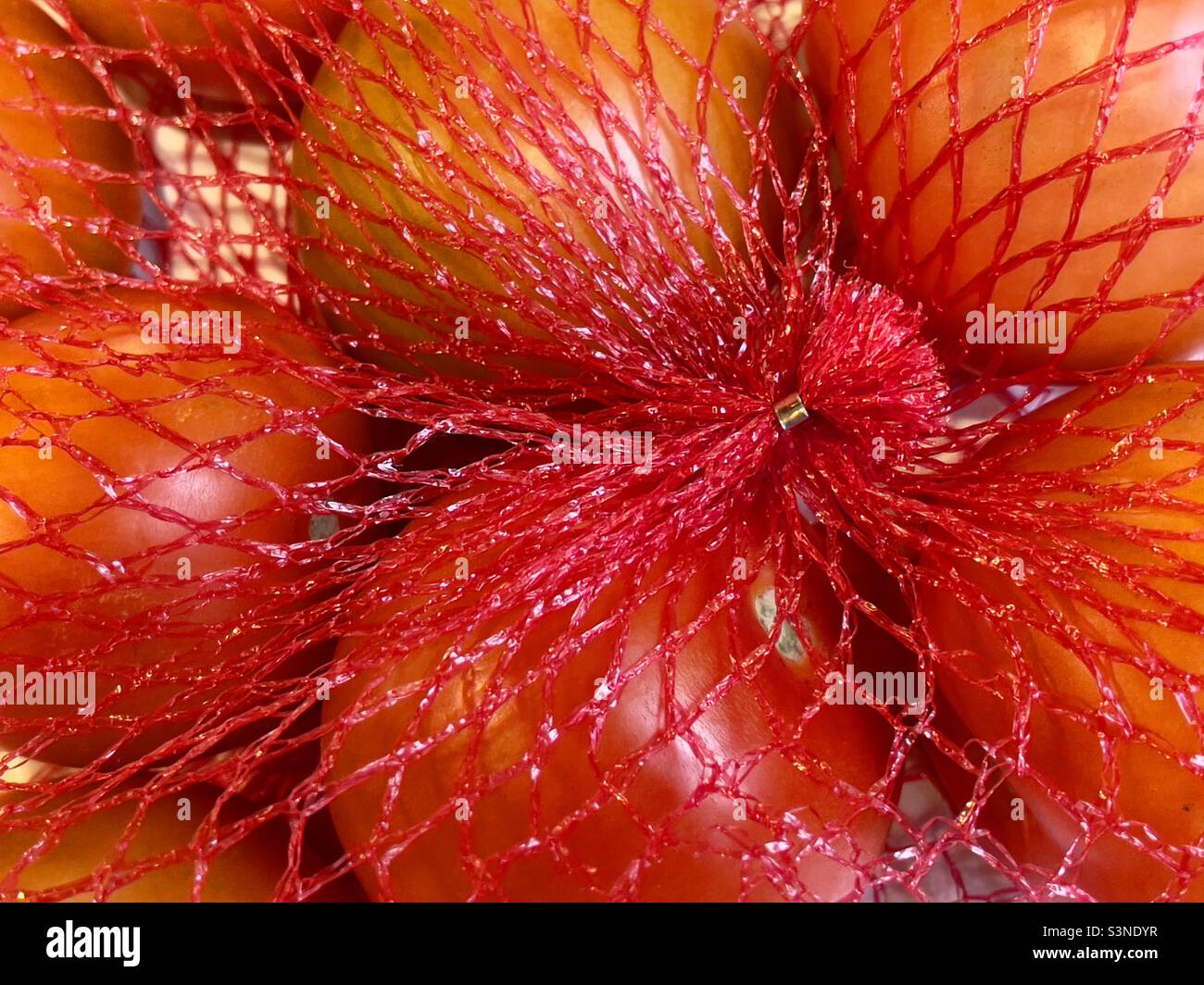 Una rete di plastica piena di pomodori con chiusura metallica, vista in primo piano Foto Stock