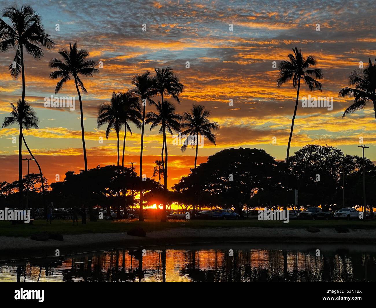 Tramonto nel Parco Ala Moana Foto Stock