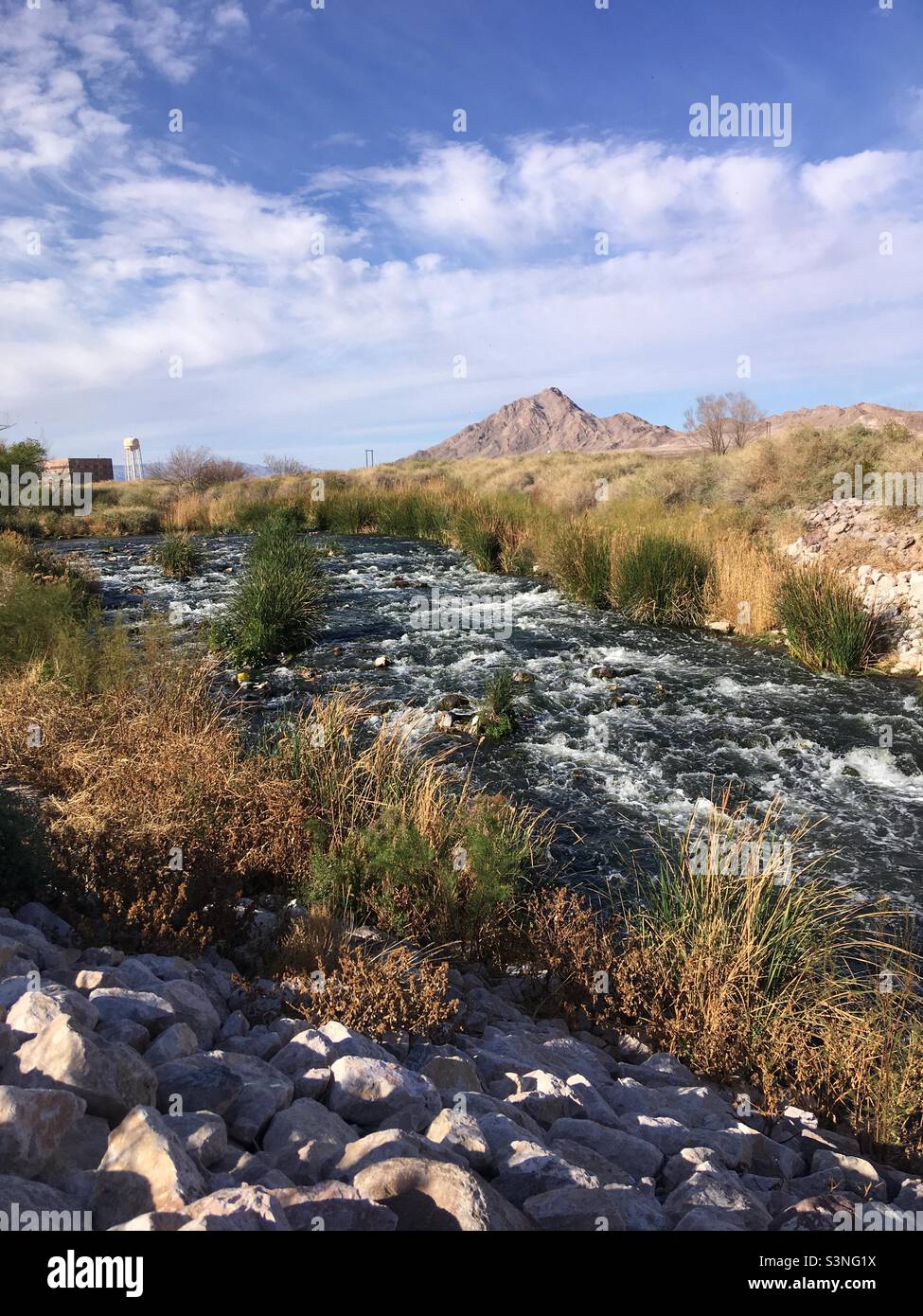 Clark County Wetlands Park Las Vegas Nevada Foto Stock