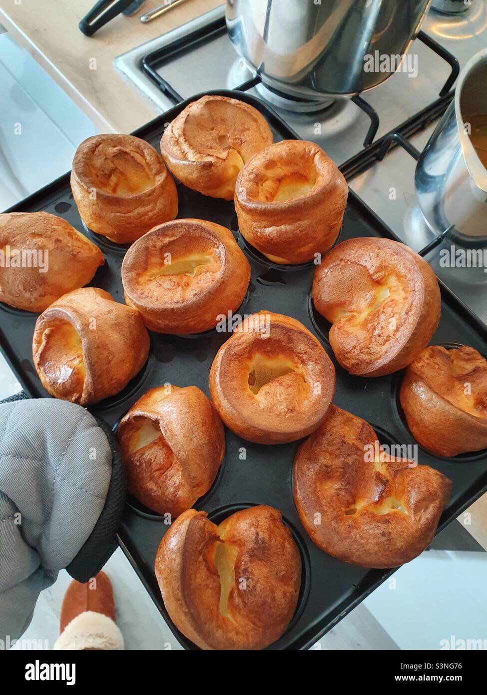 Yorkshires Foto Stock