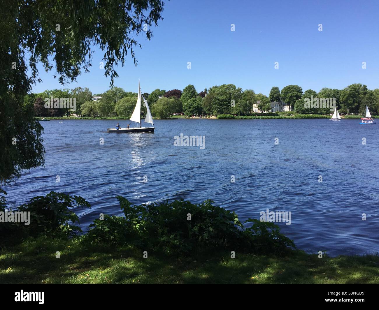 Vela sull'Alster, un lago nel mezzo di Amburgo: Cielo blu, superficie d'acqua, una barca a vela incorniciata da trincee Foto Stock