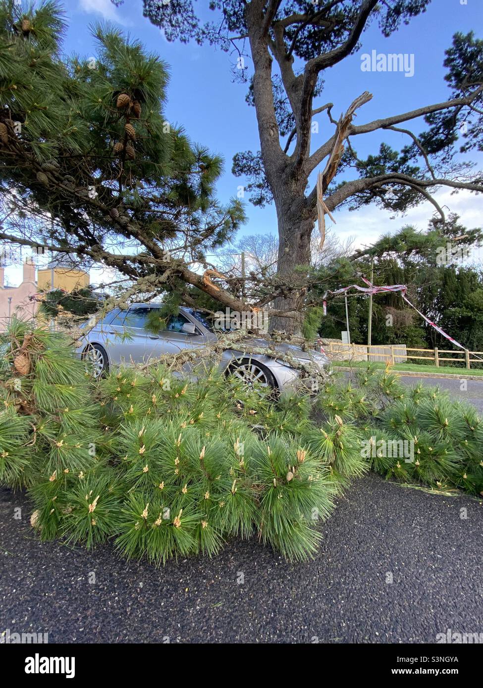 Auto schiacciata sotto ramo albero caduto durante la tempesta Eunice a Holmbush parcheggio Lyme Regis Dorset Venerdì 18th Febbraio 1923 Foto Stock