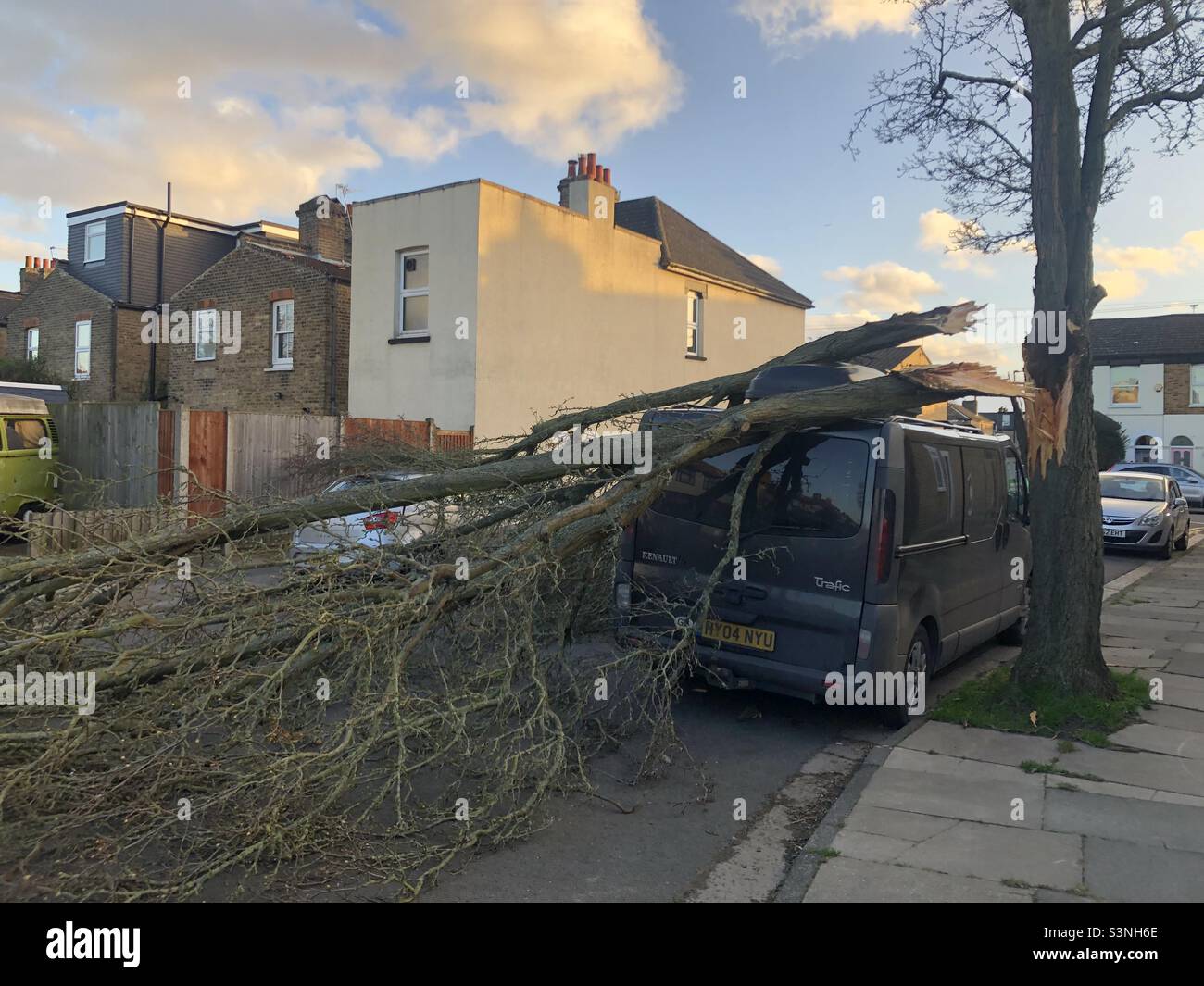 Un albero caduto su un furgone durante la tempesta Eunice nel nord di Londra - Immagine stock catturata con smartphone