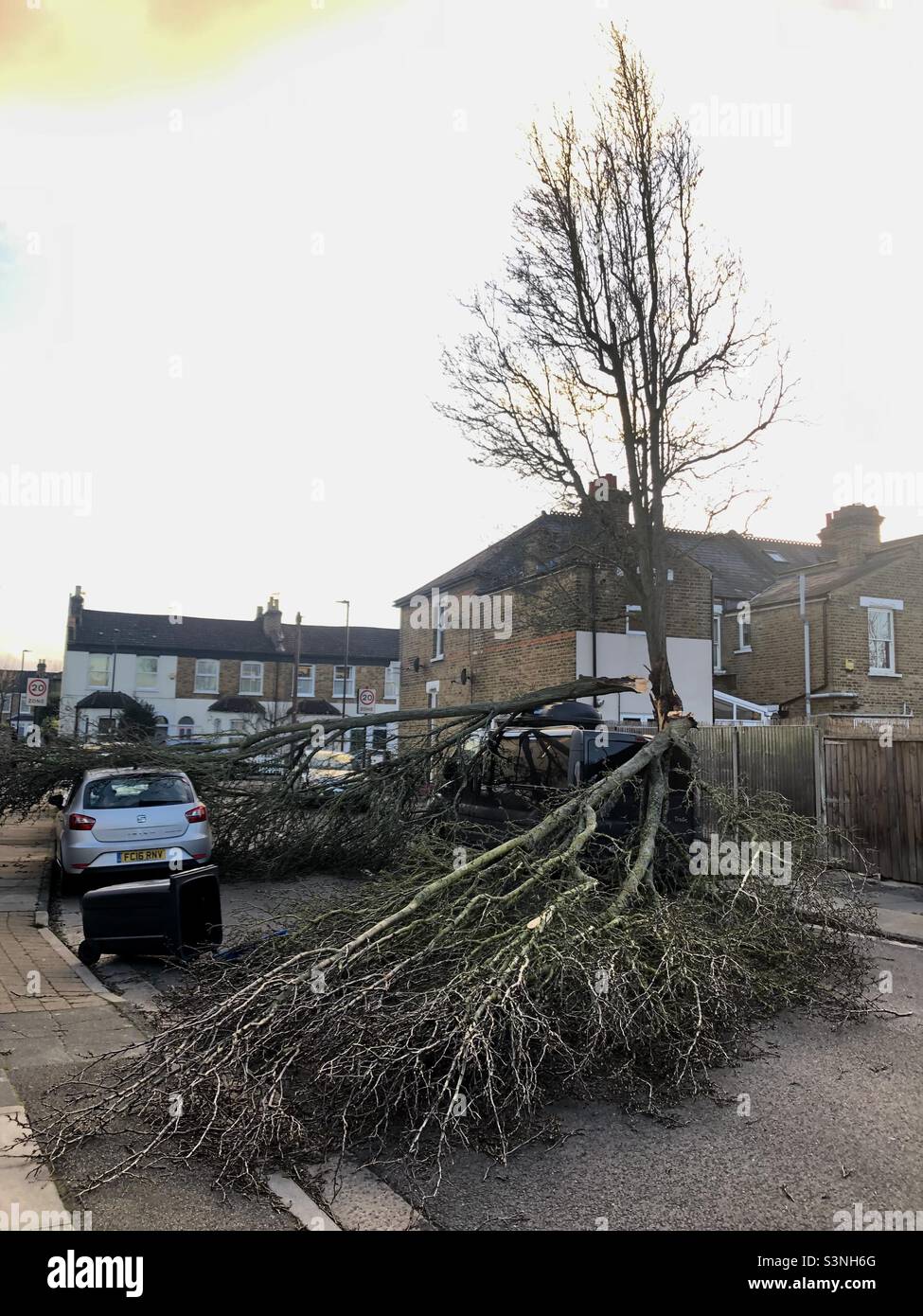 Un albero caduto su una strada nel nord di Londra durante una tempesta - Immagine stock catturata con smartphone
