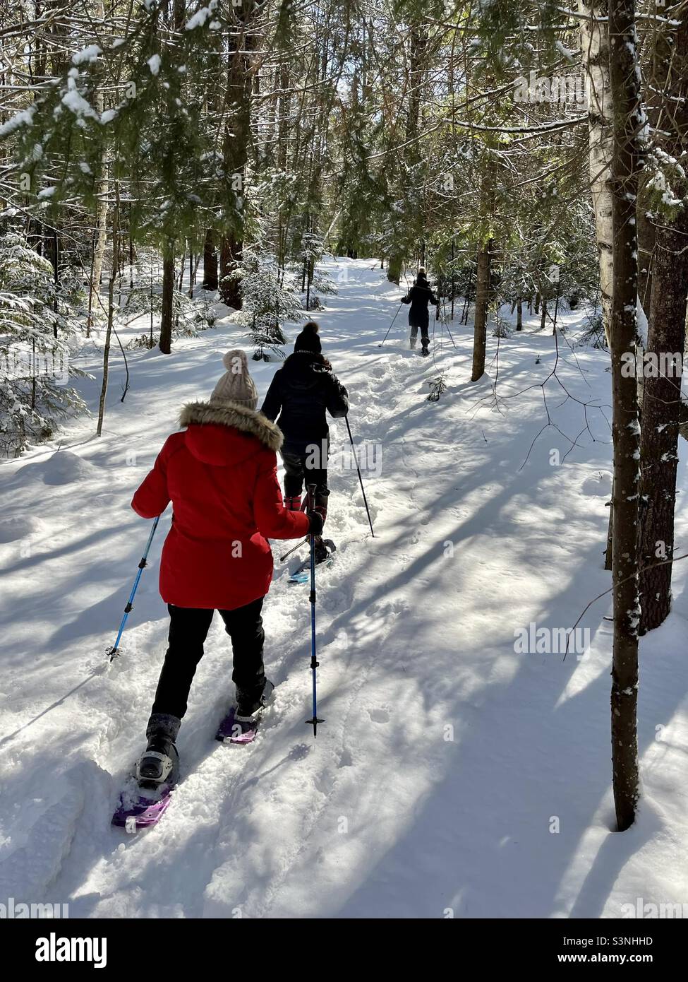 Tre persone racchette da neve attraverso una foresta in una soleggiata giornata invernale. Foto Stock