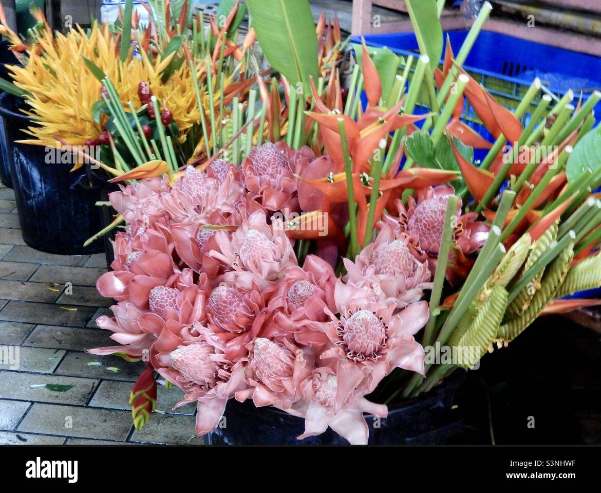 Fiori tropicali colorati in un mercato Papeete Foto Stock