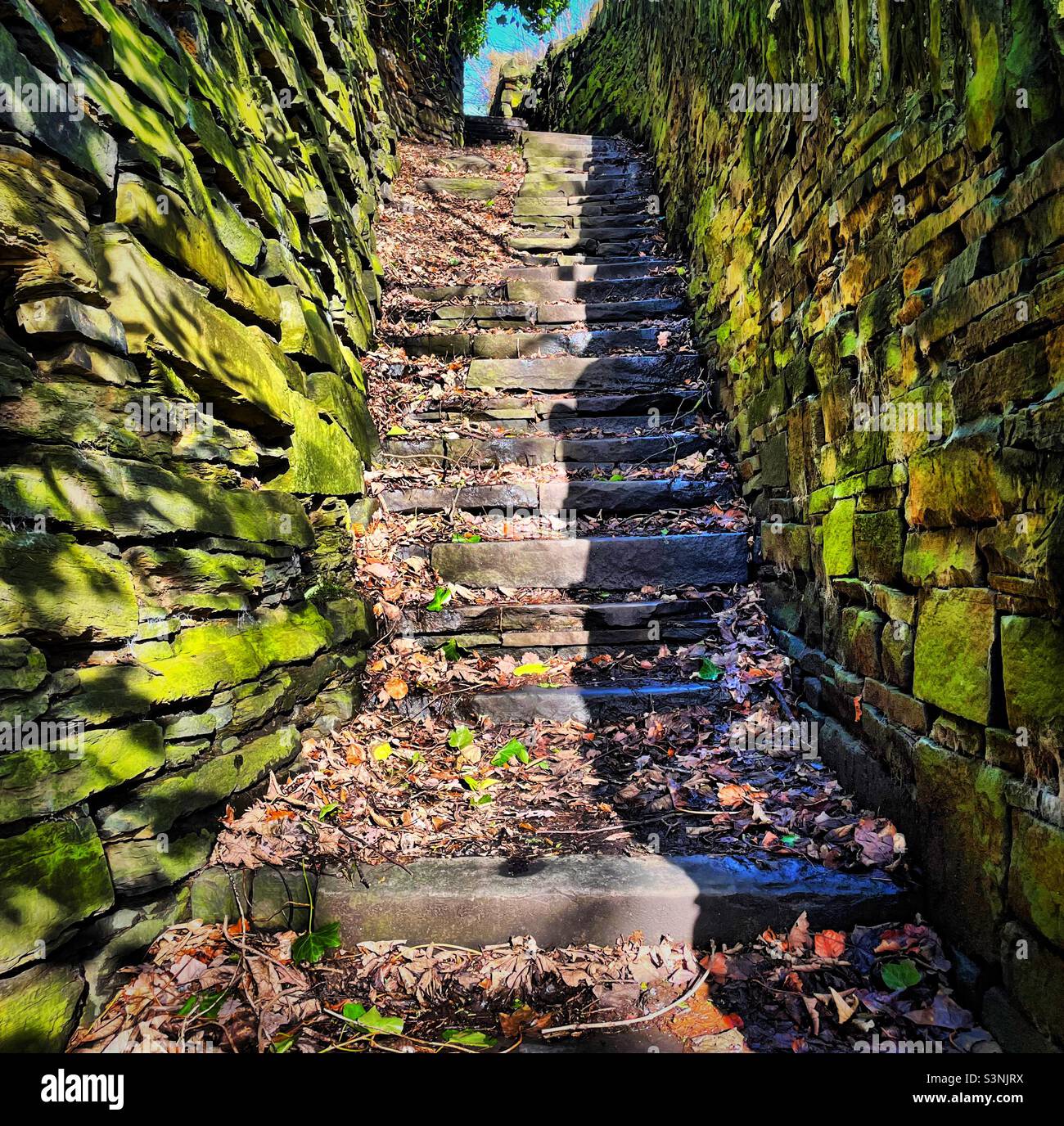 ‘Stepping Stone’ una scena tipicamente dello Yorkshire, in cui i gradini decorati con foglie sono affiancati da un muro di pietra asciutta coperto di muschio in un pomeriggio soleggiato di inverni Foto Stock