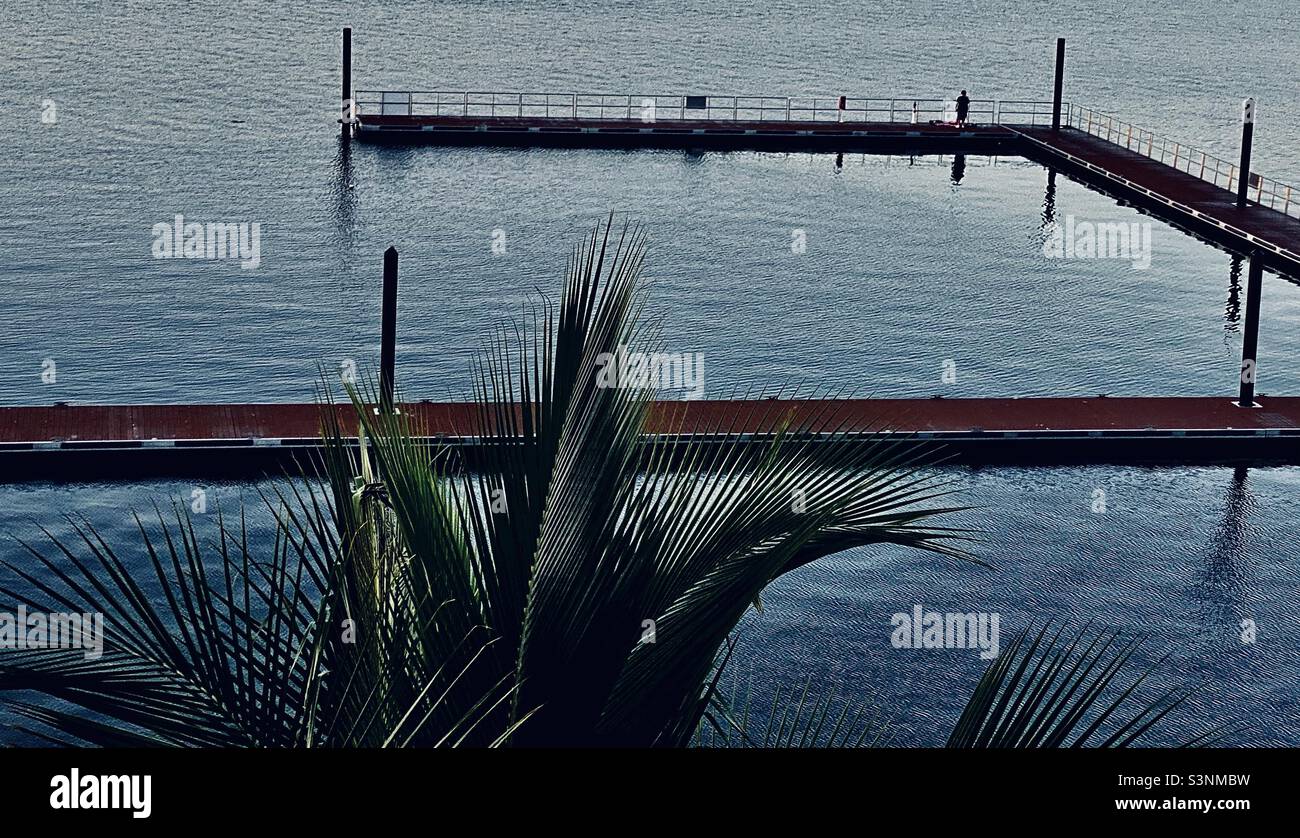 Una palma / parte di fronte a un molo di legno / molo in acqua con una sola persona non identificabile in lontananza di fronte alla calma acqua di una mattina presto Foto Stock