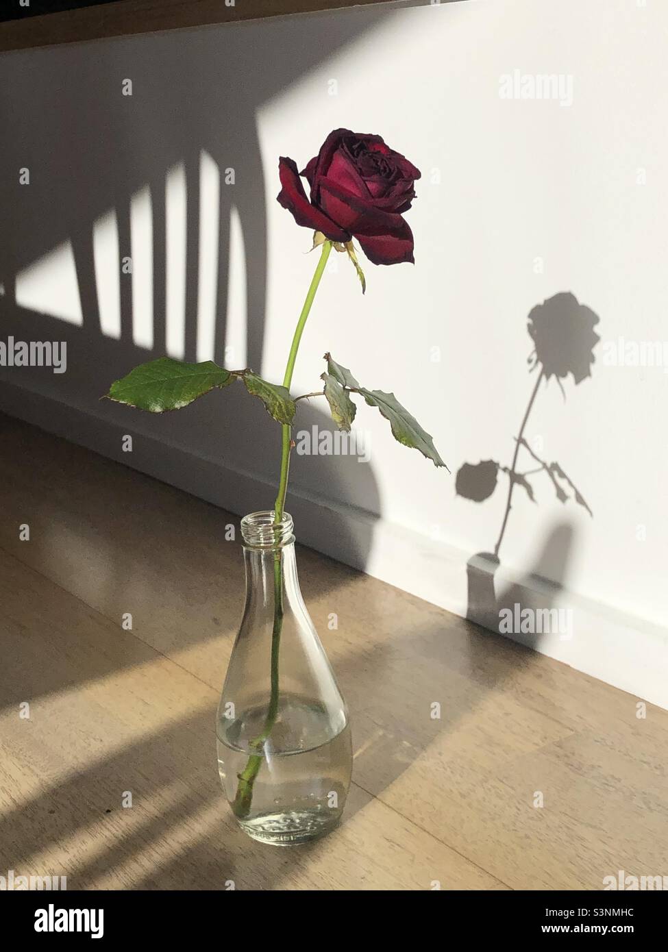 Luce e ombra - Immagine stock catturata con smartphone
