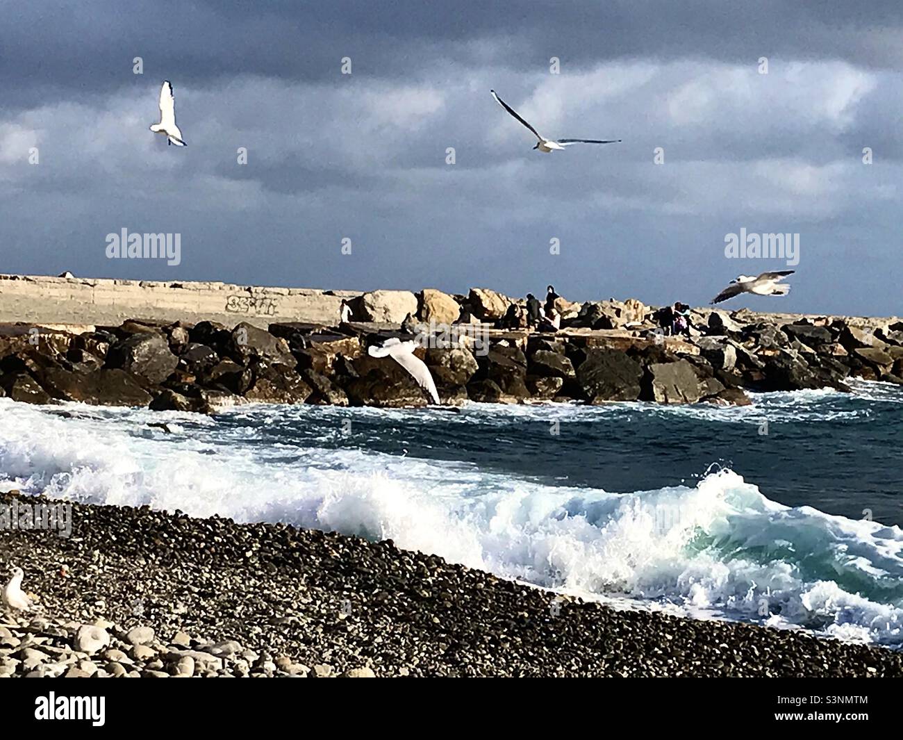 Gabbiani che volano sulla Riviera Italiana, Sanremo - onde di mare e cielo nuvoloso. Foto Stock