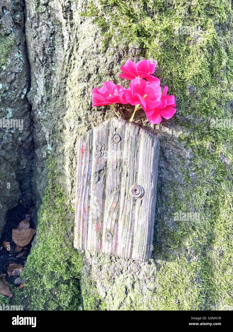 Porta della fata sul moncone dell'albero Foto Stock
