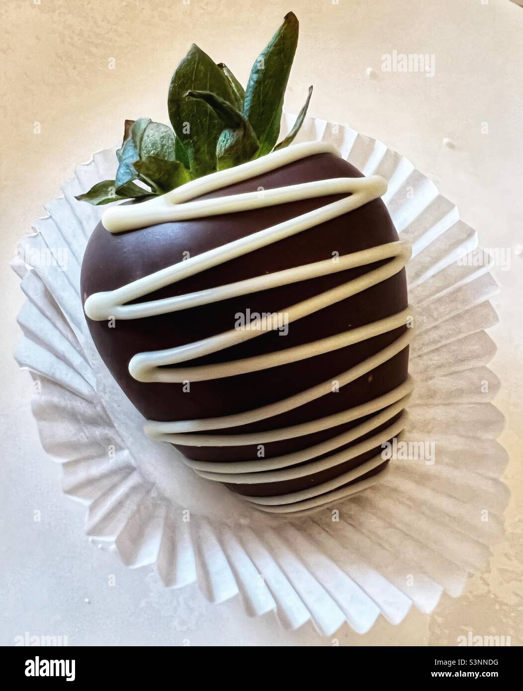 Una fragola intera immersa in cioccolato fondente su una custodia di carta Foto Stock