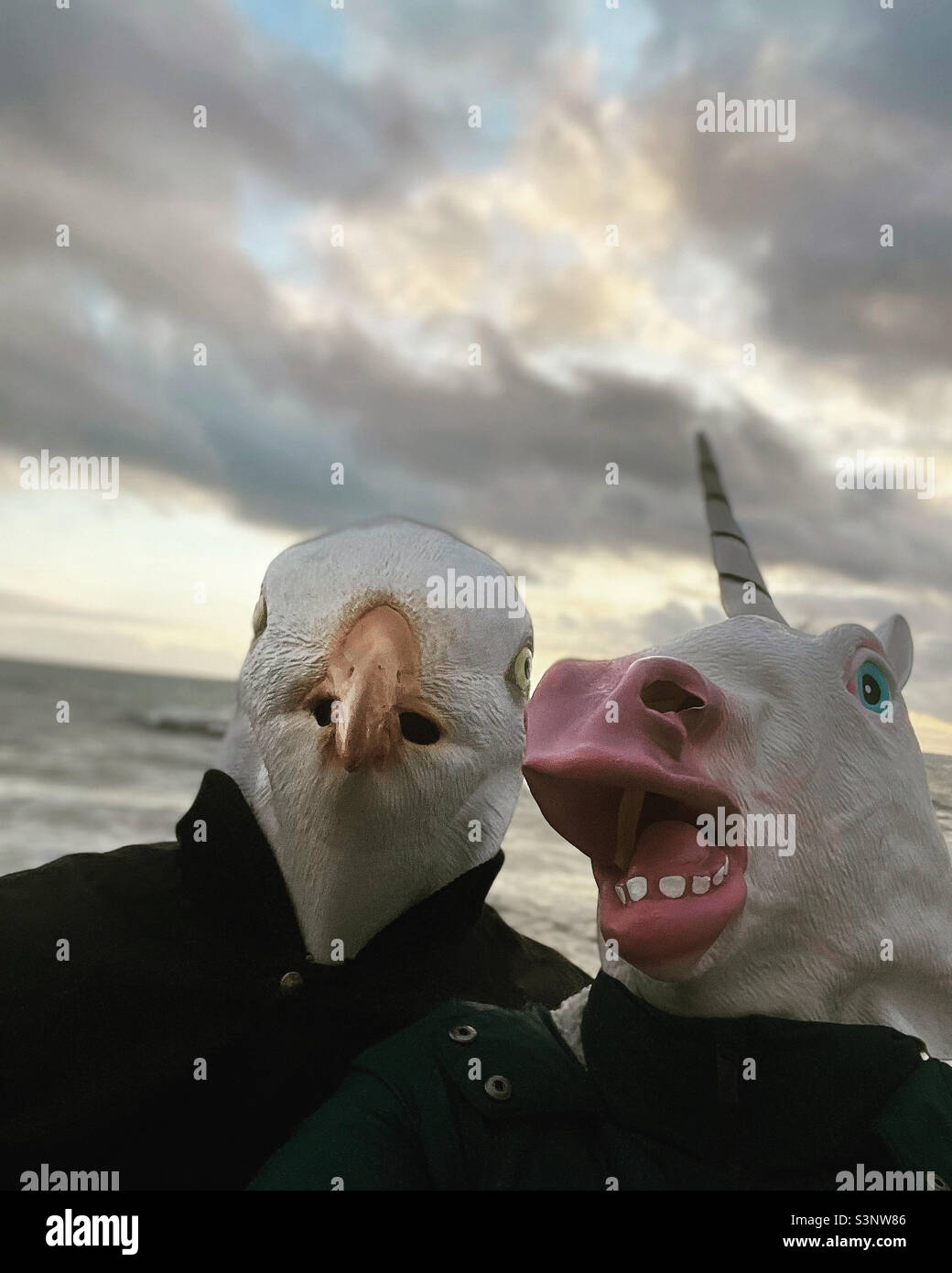 Coppia che indossa maschere animali al mare Foto stock - Alamy
