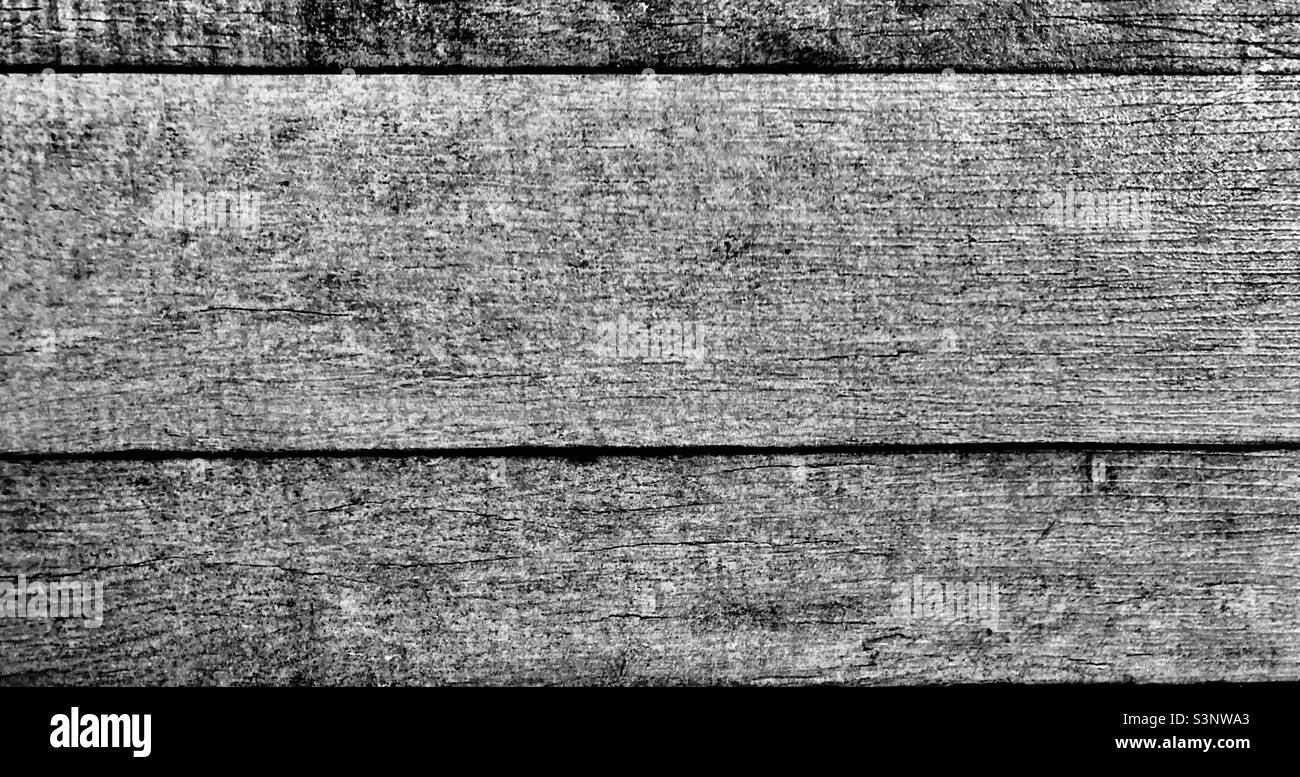 Tavole orizzontali di legno in bianco e nero che mostrano la venatura del legno da vicino - Immagine stock catturata con smartphone