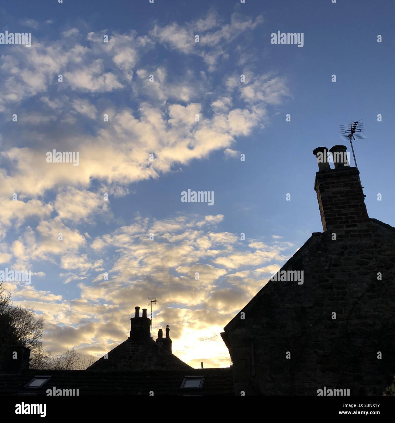 Luce serale in primavera con case tradizionali inglesi in silhouette in primo piano, Inghilterra, Regno Unito - Immagine stock catturata con smartphone