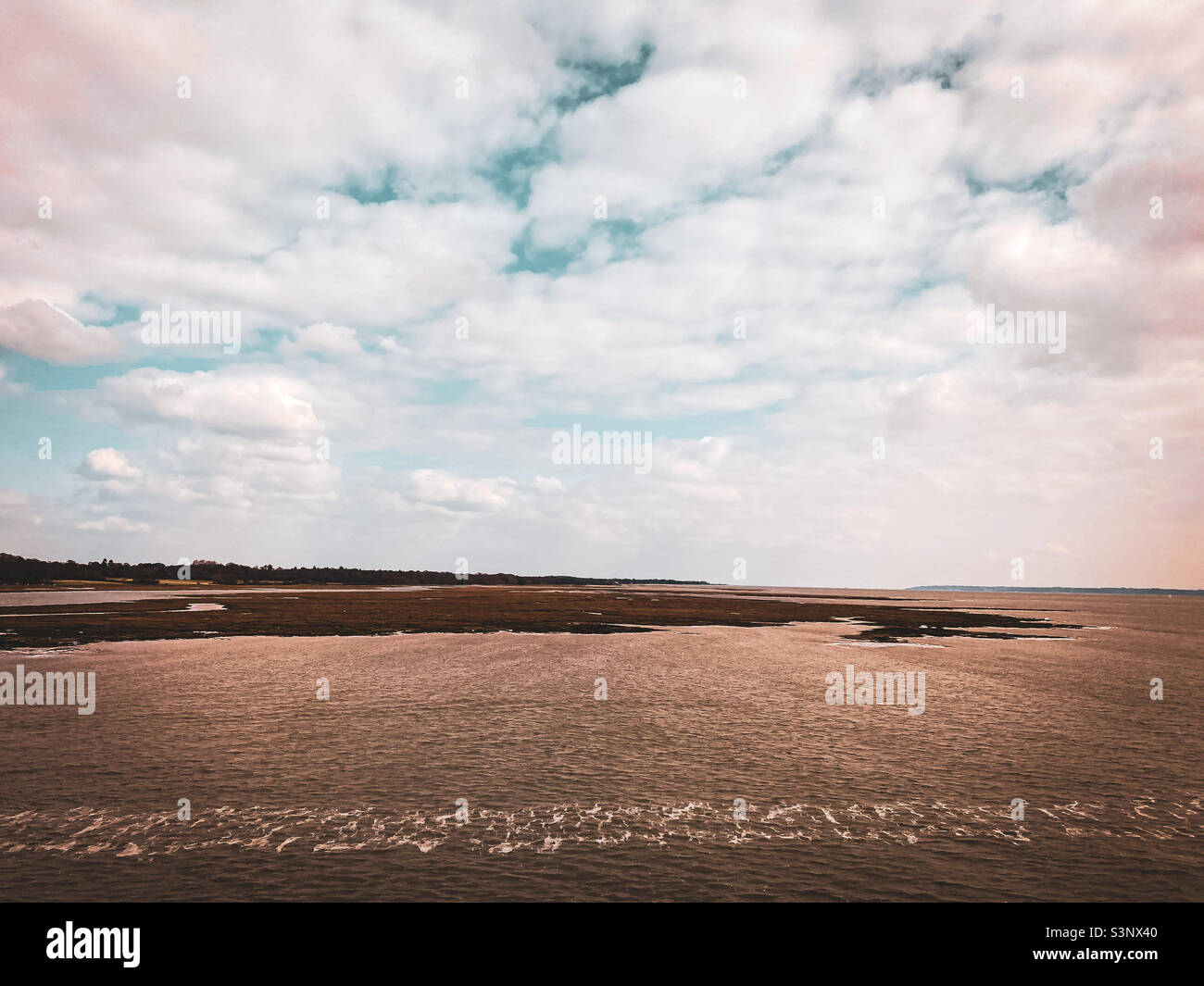 Condimento solento dal look retrò Foto Stock