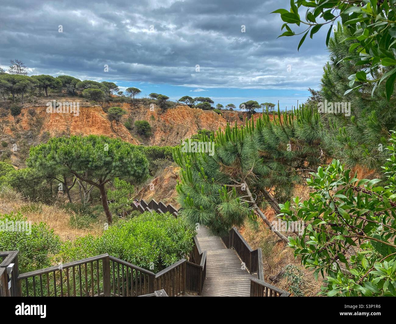 Scendete alla spiaggia di Praia da Falesia attraverso rocce di arenaria e vegetazione verde locale, Algarve, Portogallo. Foto Stock