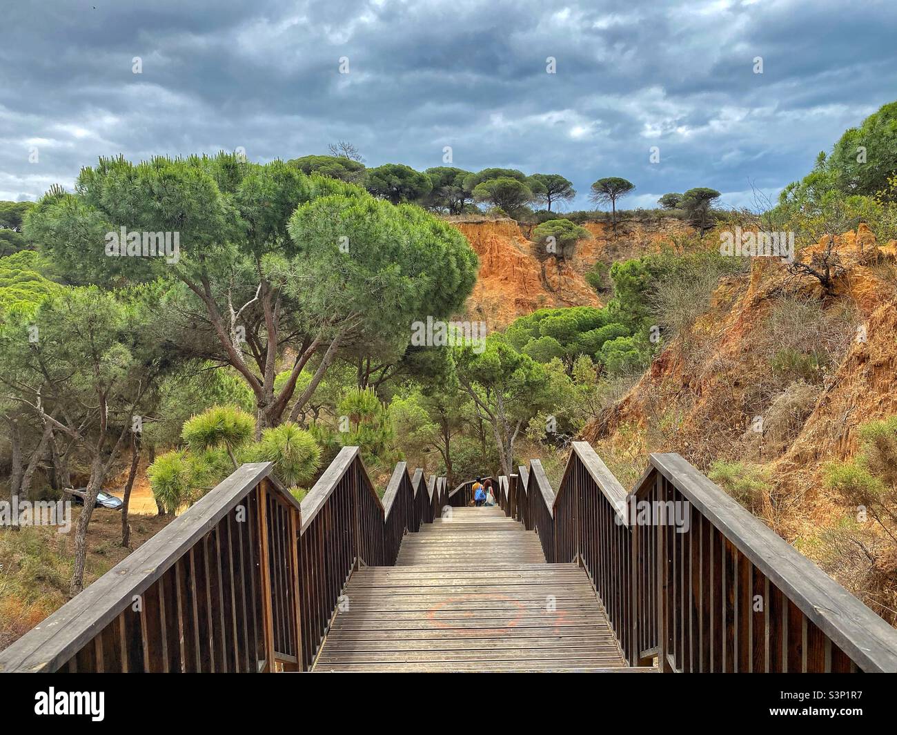 Scale di legno che conducono alla spiaggia di Praia da Falesia circondata da rocce di arenaria e vegetazione mediterranea, Algarve, Portogallo. Foto Stock