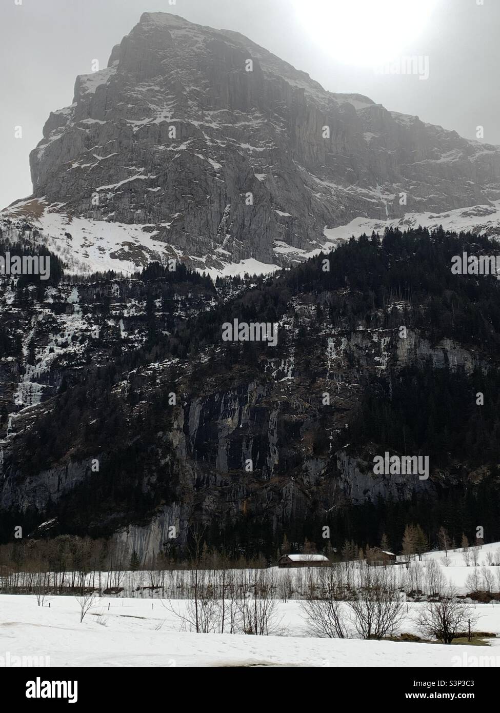 Montagna che mostra alberi e neve con un edificio alla base. Il lato ombreggiato del Monte Titlis in Engelberg, Svizzera. Foto Stock