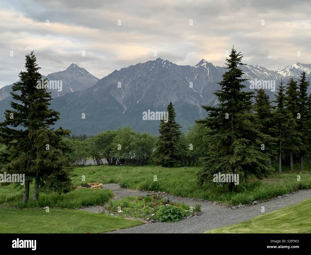 Giardini e sentieri lungo l'interno dell'Alaska in estate con montagne dietro. Foto Stock