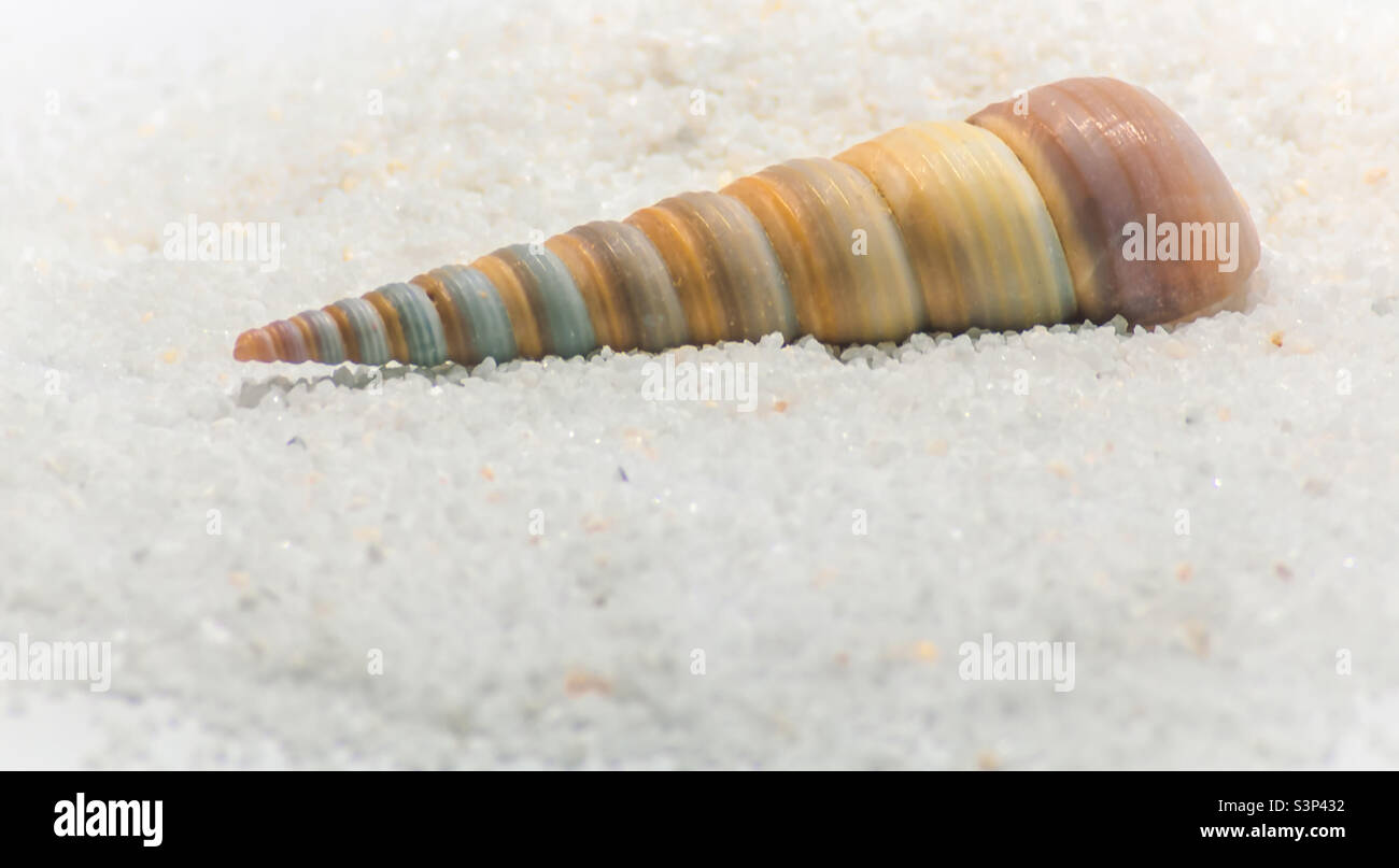 Una conicità sulla sabbia bianca di ghiaia - Immagine stock catturata con smartphone