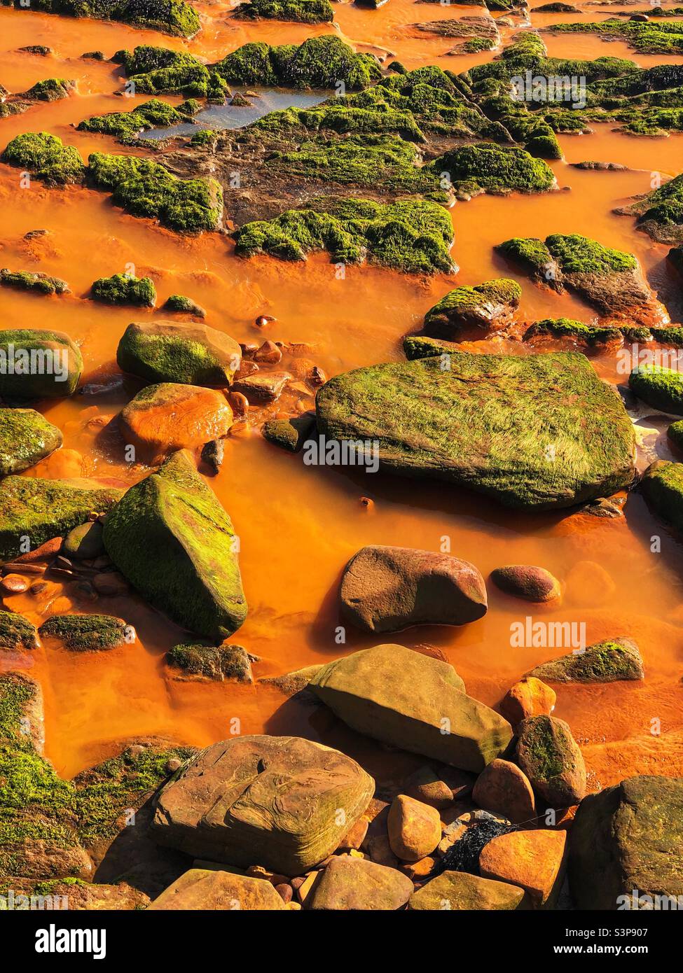 Depositi di ossido di ferro in un flusso roccioso Foto Stock