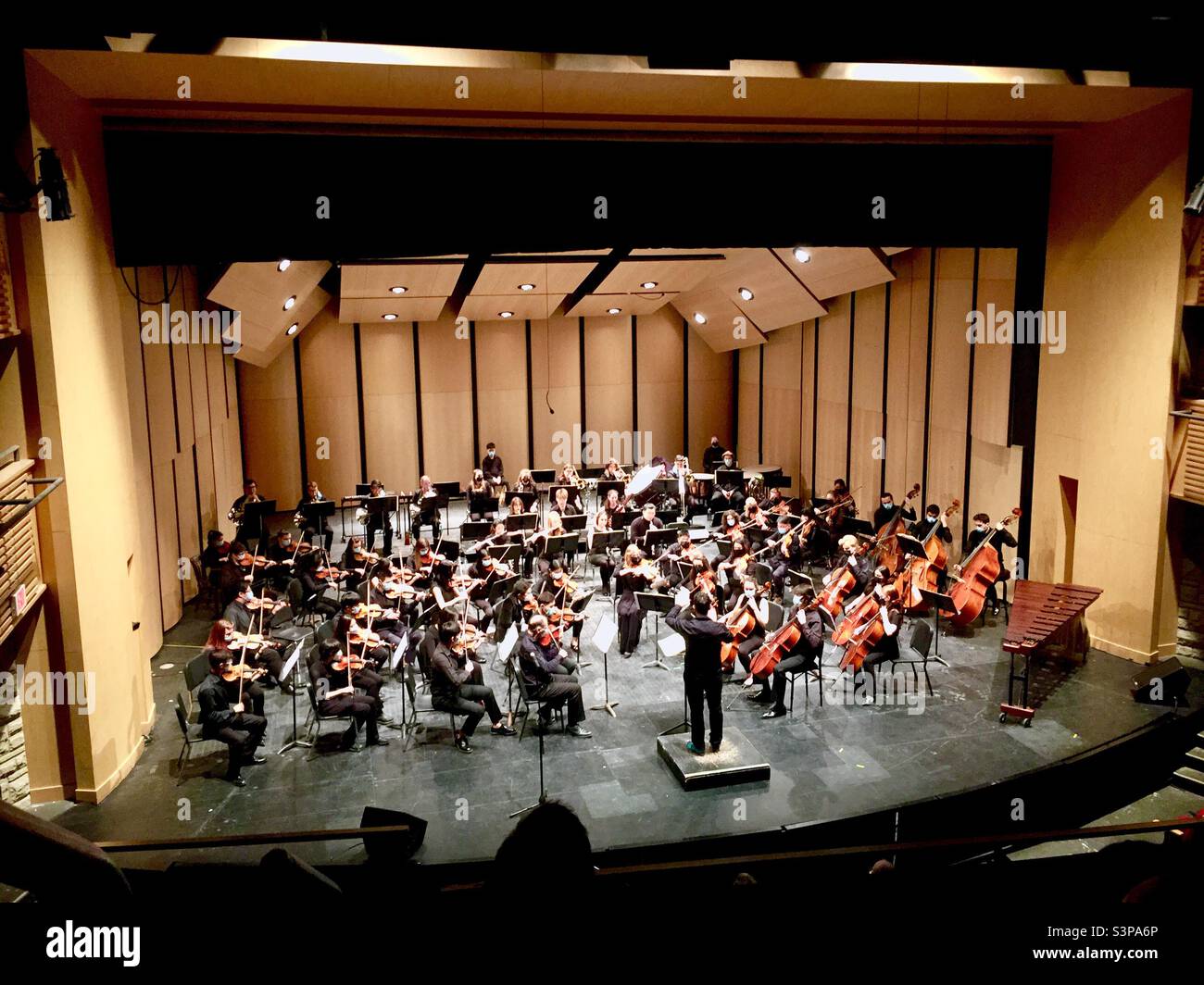Orchestra sinfonica che si esibisce sul palco, al coperto con maschere, Ontario, Canada. Live. Di persona. Le distanze sociali. Conduttore. Codice 19. - Immagine stock catturata con smartphone