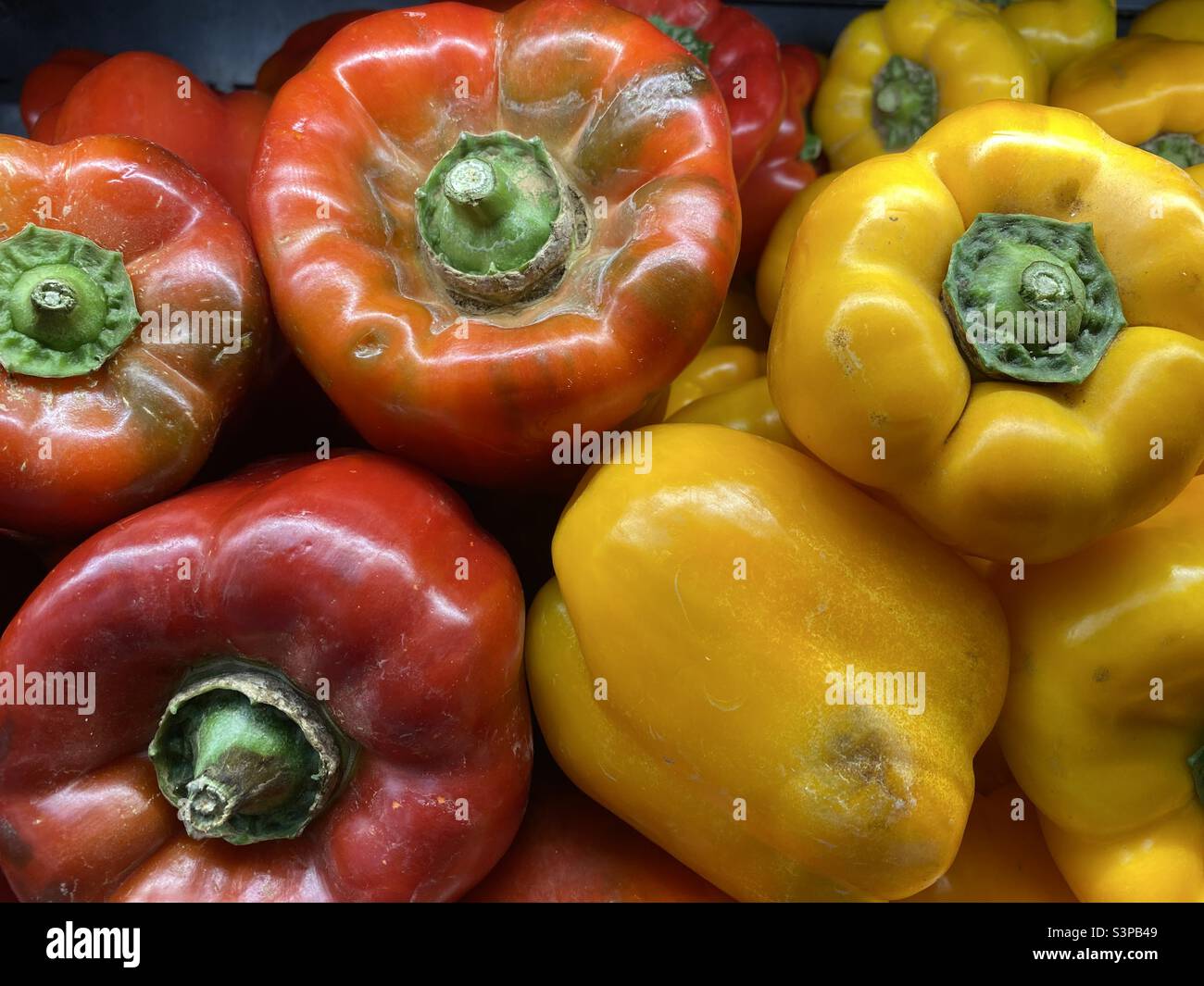 Peperoni portoghesi in una scatola Foto Stock
