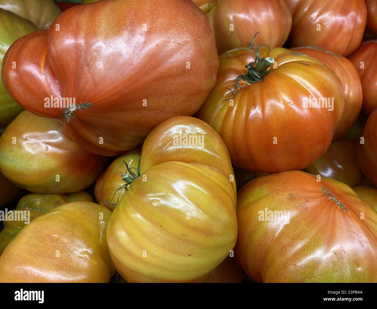 Pomodori rossi, pomodori Jumbo - Immagine stock catturata con smartphone