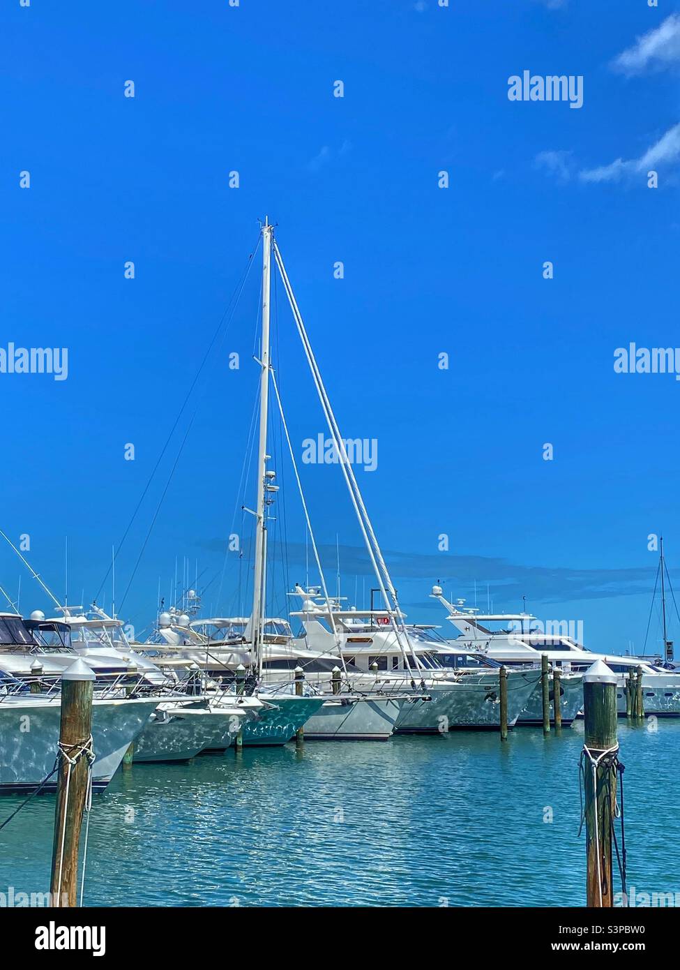 Barche nel porto di Key West Florida - Immagine stock catturata con smartphone