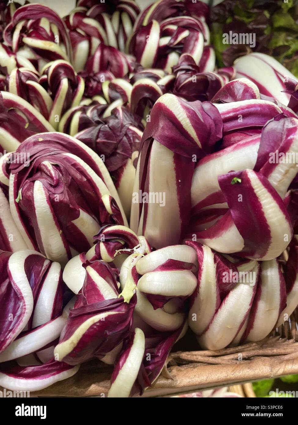 Radicchio - Immagine stock catturata con smartphone
