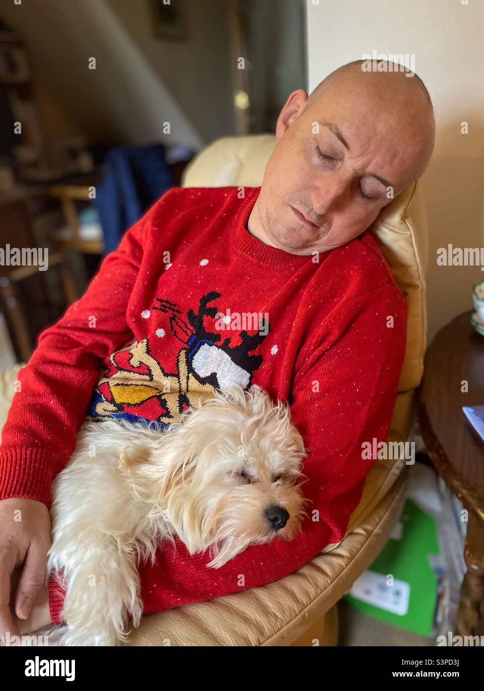 L'uomo e il cucciolo di cavapoo dormono insieme in una poltrona a Natale. Foto Stock