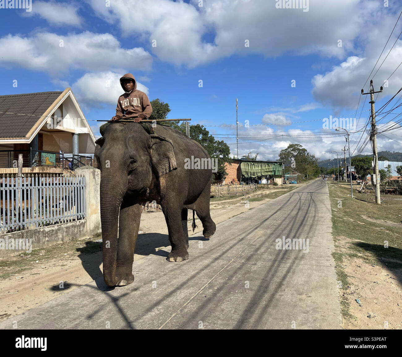 prendi l'elefante per fare il bagno - Immagine stock catturata con smartphone