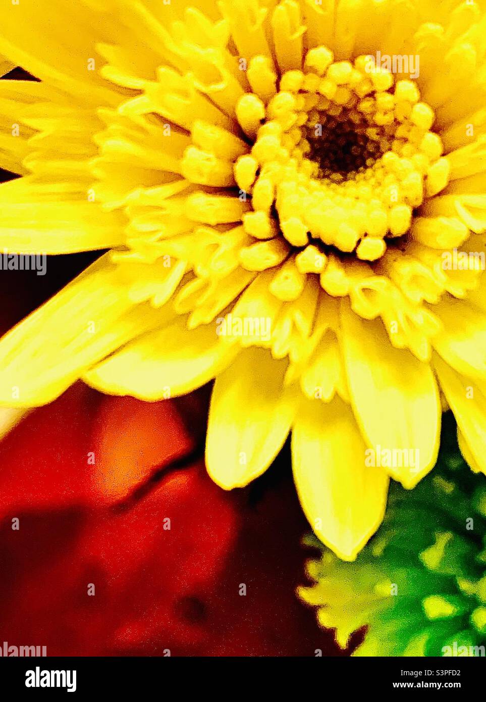 Disposizione di autunno Foto Stock