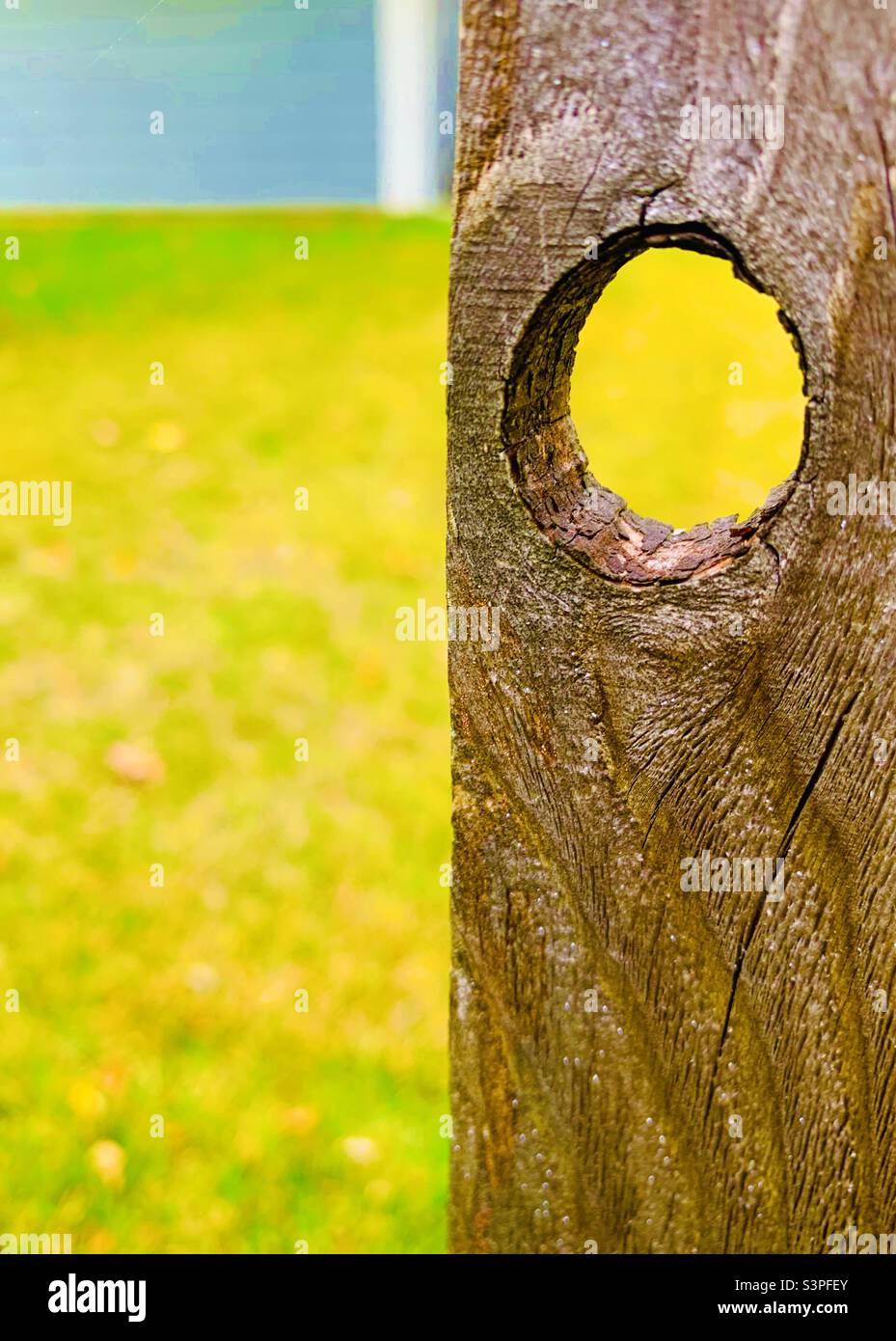 Semplice, colorato, palo di recinzione - Immagine stock catturata con smartphone