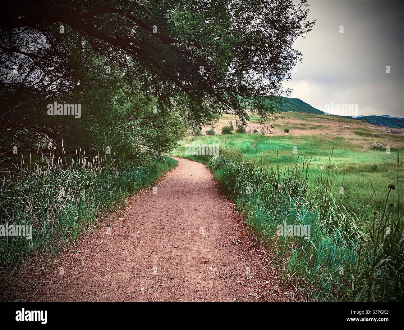 Strada a molla Foto Stock