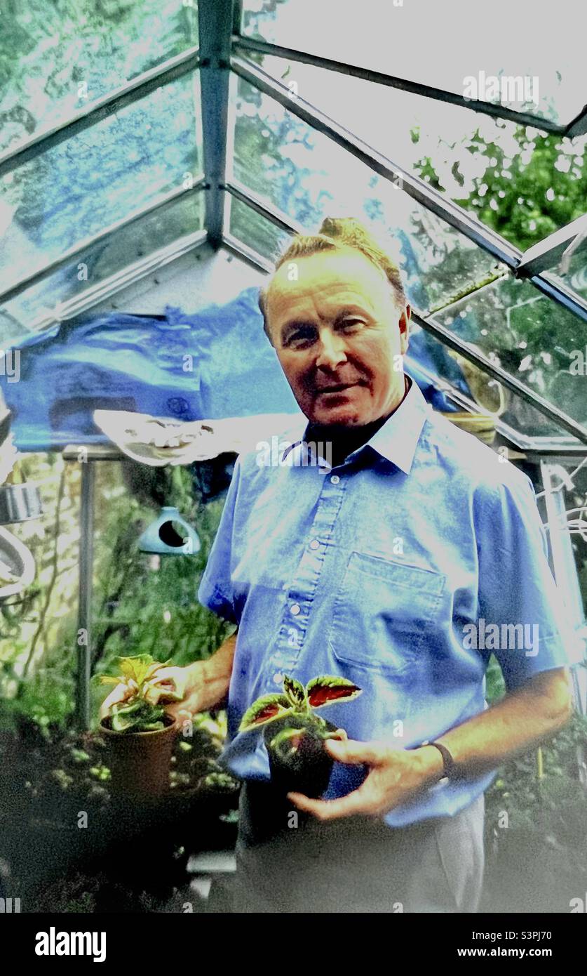 L'uomo nel suo giardino d'inverno contiene piante Coleus Foto Stock
