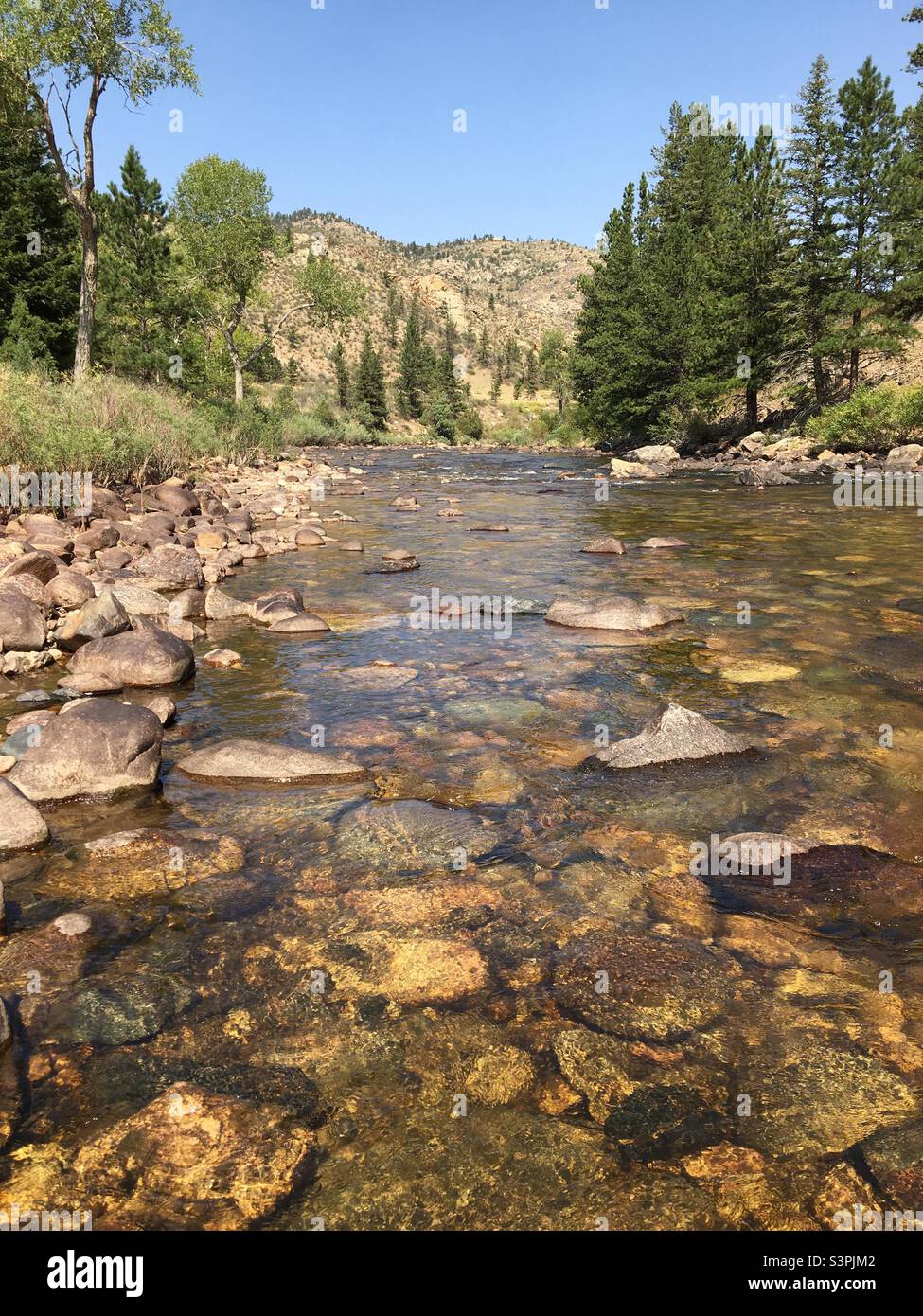 Pesca con la mosca sul fiume Colorado Foto Stock