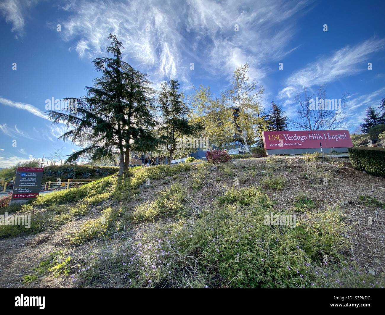 LA Cañada FLINTRIDGE, CA, MAR 2021: Segnaletica su collina fuori dall'USC Verdugo Hills Hospital, incluso l'ingresso di emergenza. Nuvole di piuma nel cielo blu sopra Foto Stock
