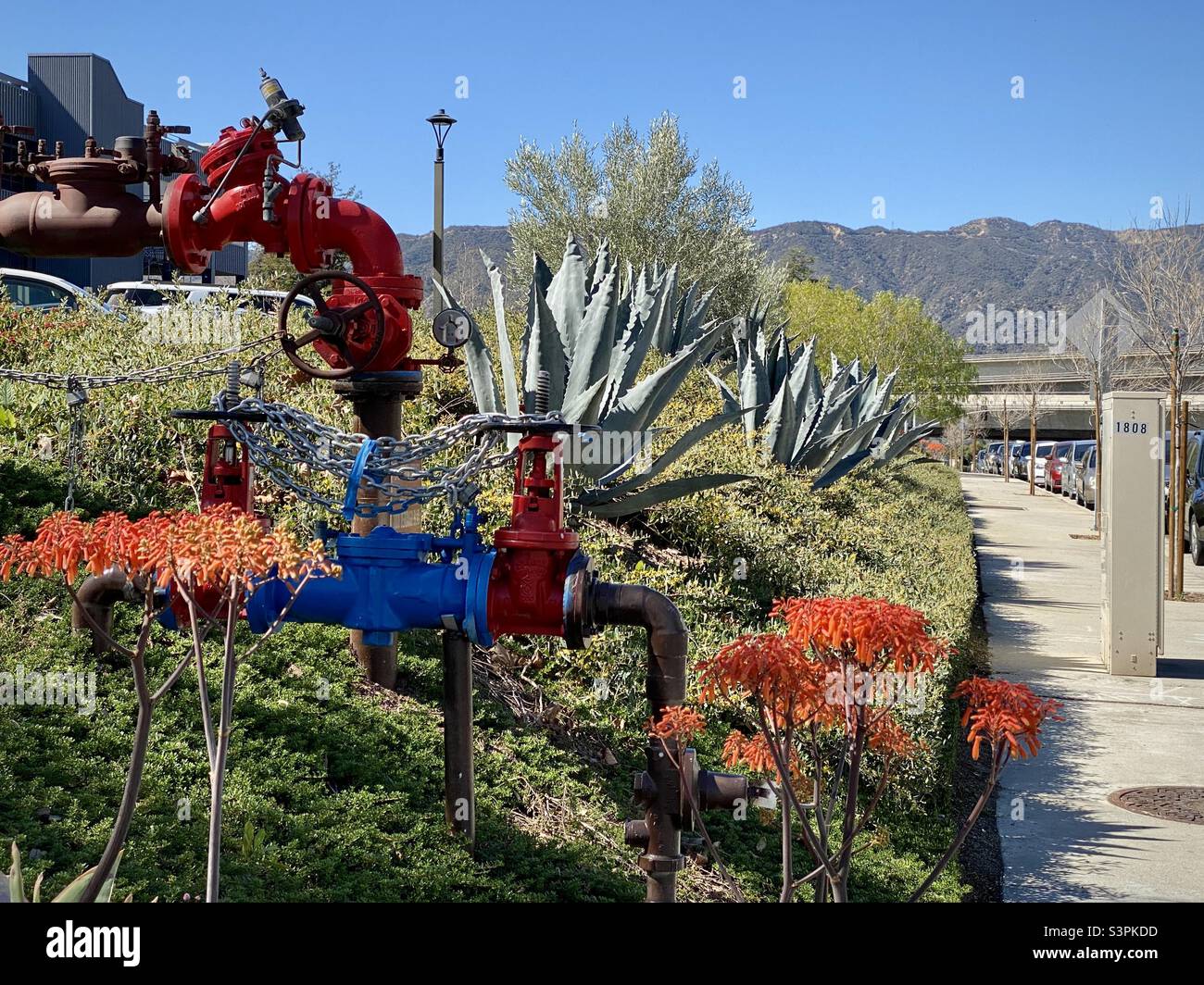 Coloratissimi tubi rossi e blu circondati da fiori e vegetariani sul lato di una strada a la Cañada Flintridge, California, con montagne sullo sfondo Foto Stock