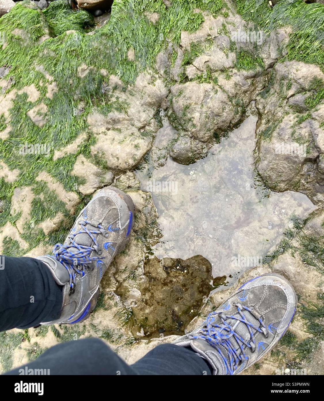 Una spiaggia di Corran stampa Megalosaurus, Isola di Skye Foto Stock