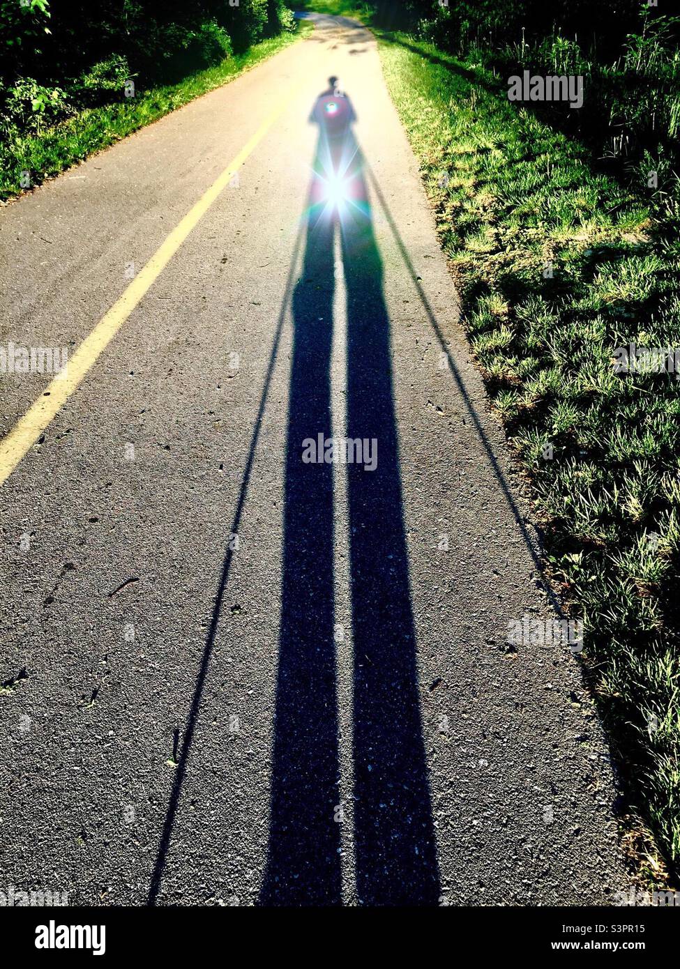 Dalle tenebre alla luce. Una metafora. Luce interna ed esterna. Lunga ombra per un tocco di luccicante. Evergreen. Fonte. Luce e gioia. Cammino verso l'illuminazione. Foto Stock
