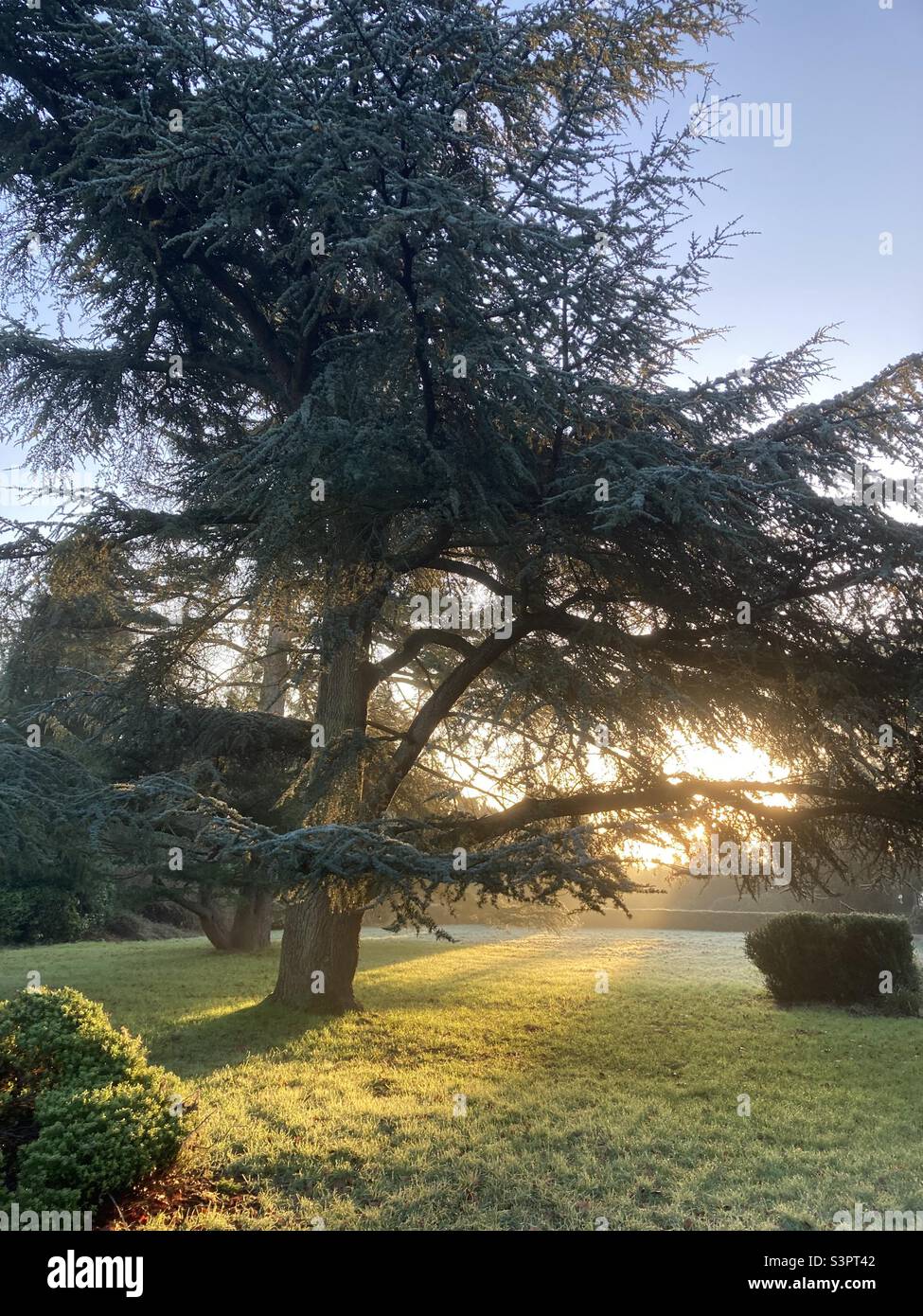 Parco di Firenze a East oxford in una mattinata di sole e gelate - Immagine stock catturata con smartphone