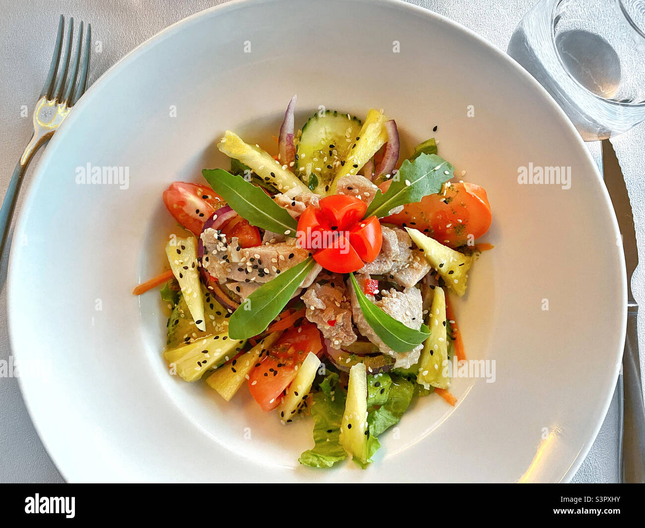 Vista dall'alto di un pasto di insalata di tonno. Colorato, sano e gustoso! Foto ©️ COLIN HOSKINS. Foto Stock