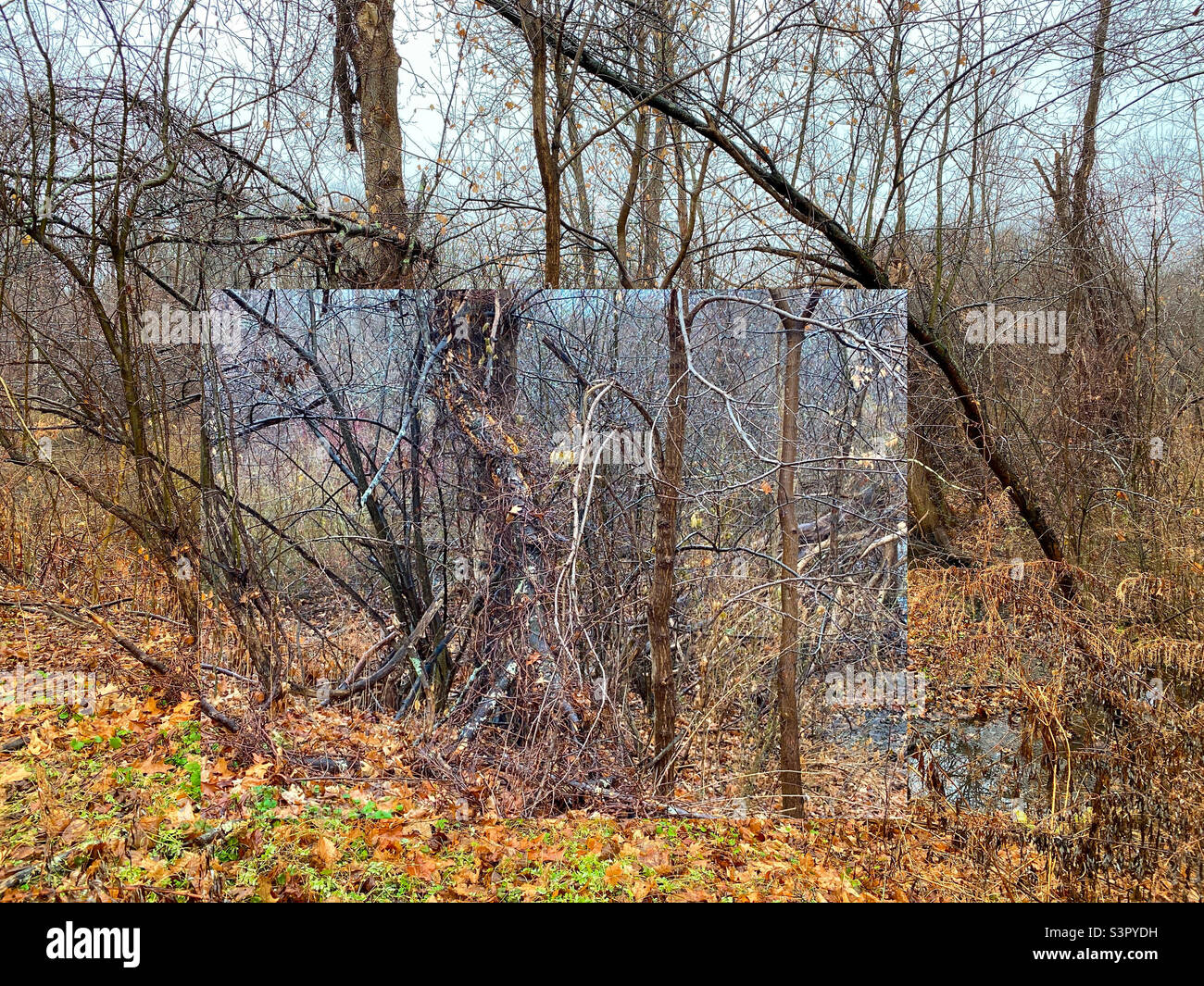 Paesaggio Foto Stock