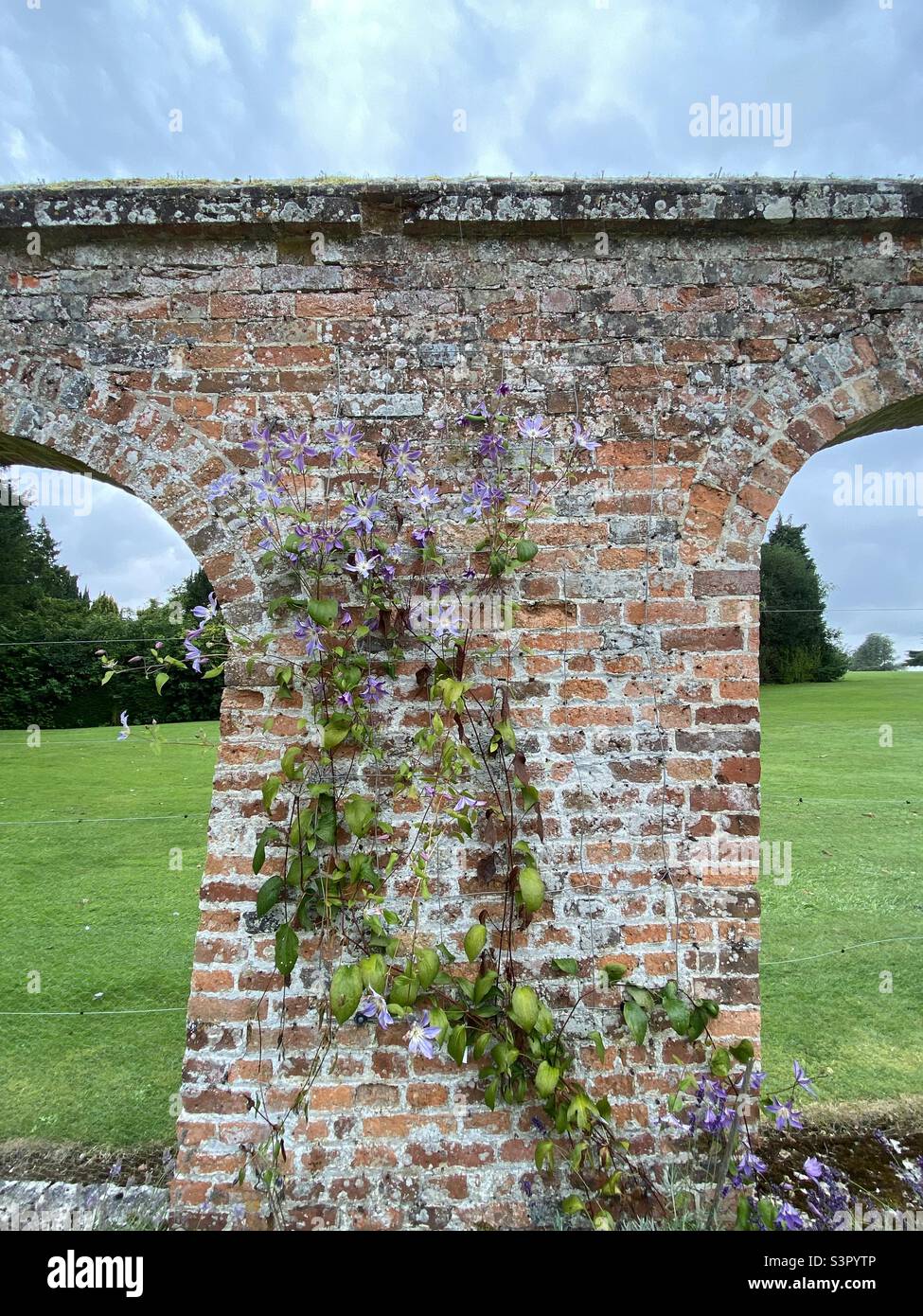 Muro con archi e fiori che crescono su di esso nei giardini di Highclere Castle, Hampshire, Inghilterra. Agosto 2021. Foto Stock