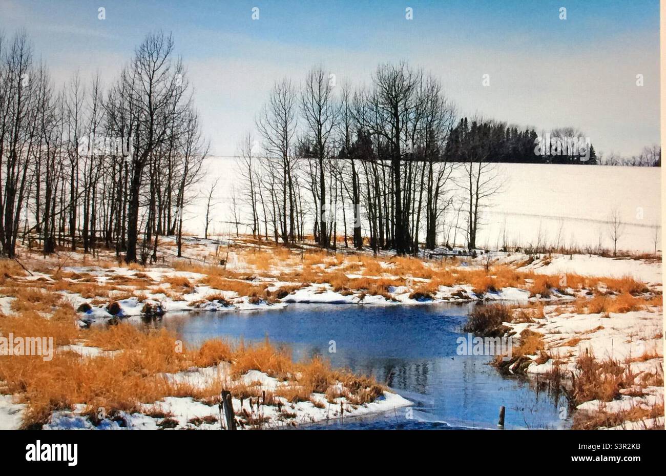 Primavera tempo, Alberta, praterie, stagno, acqua di fusione, scongelamento primaverile, paesaggio, stagioni - Immagine stock catturata con smartphone