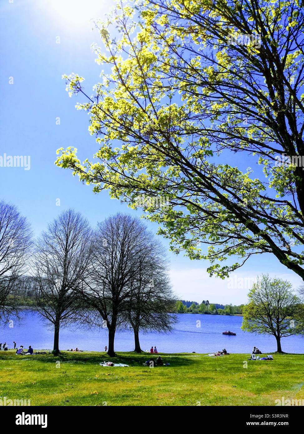 Lago See Frühling Primavera Foto Stock